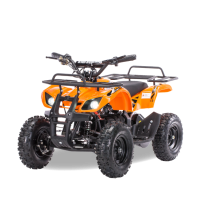 Электроквадроцикл Motax ATV Х-16 BIGWHEEL Оранжевый